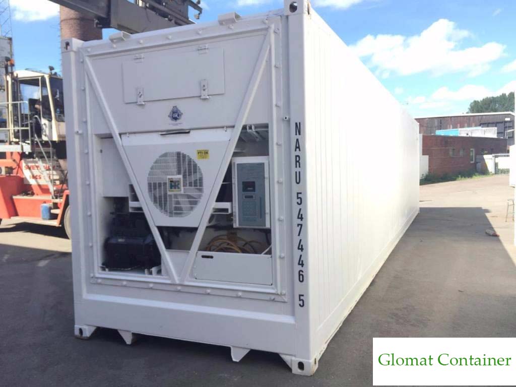 Thermo King TK Thermo King Kühlcontainer te koop